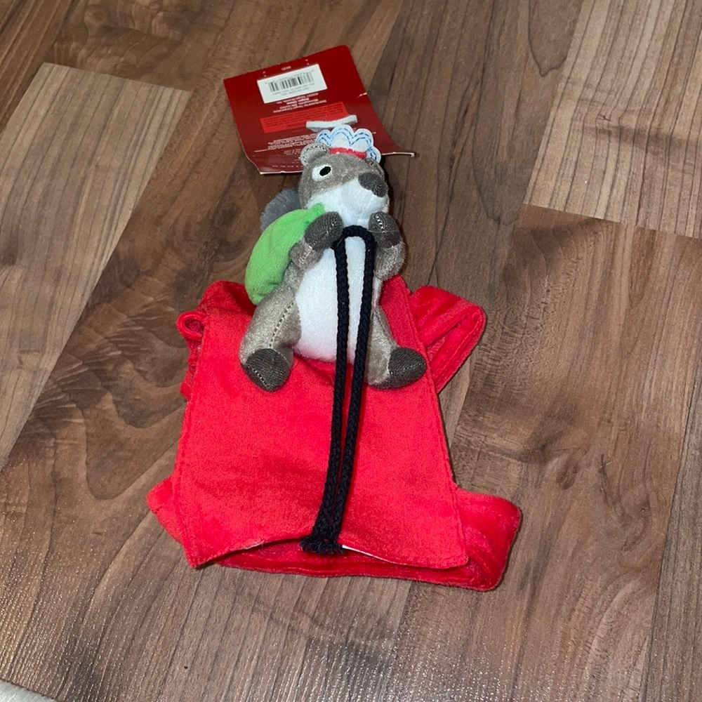 Pet costume
